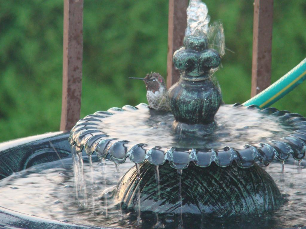 Hummers Haven Bed And Breakfast 던컨 외부 사진